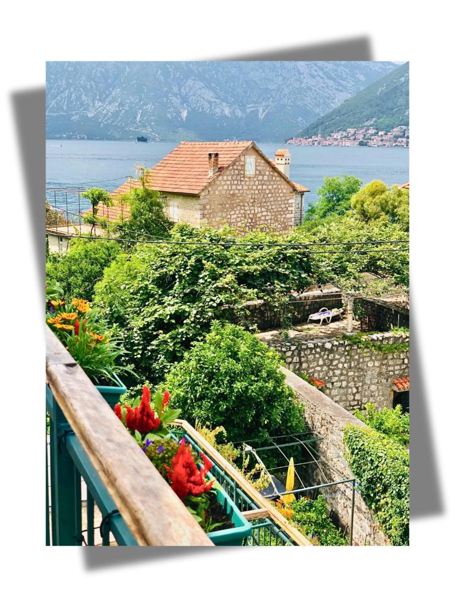 Apartments Djurovic Kotor Buitenkant foto